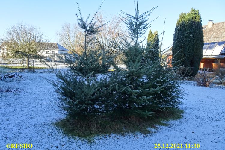 Ringstraße, Schnee