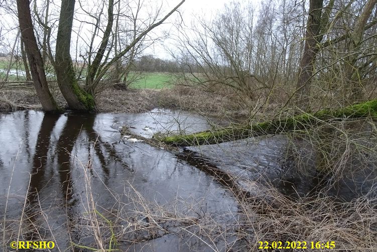 Ise, Lübingshorster Brücke