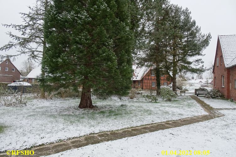 Ringstraße, Schnee