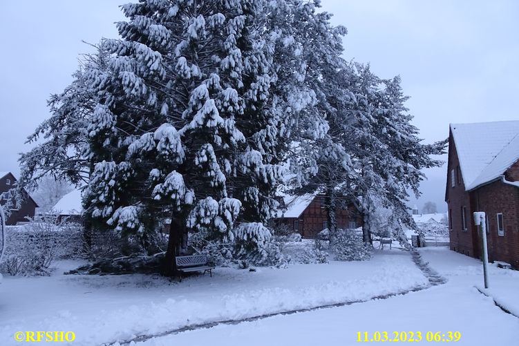 Ringstraße, Schnee