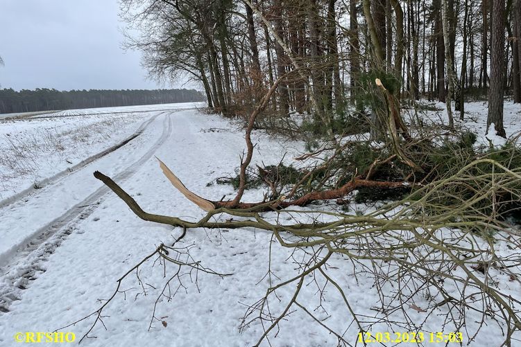 Große-Wörde-Weg, Schneebruch