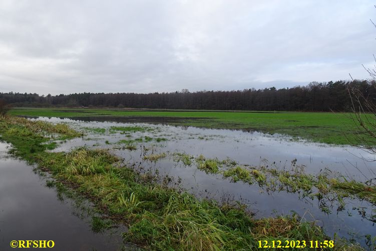 Ise, Lübingshorster Brücke