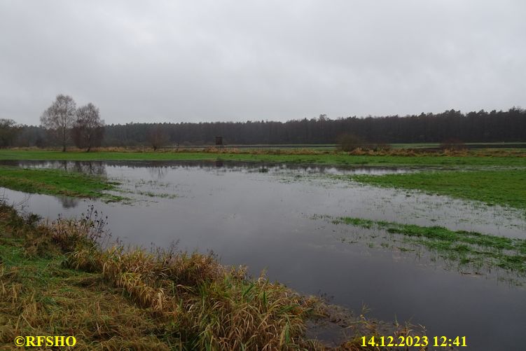 Talgraben, Große Wörde