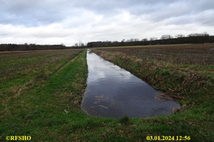 Talgraben, Große-Wörde-Weg