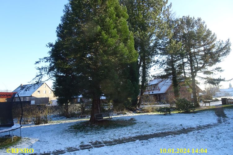 Ringstraße, Schnee