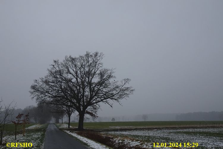 Schützenstraße