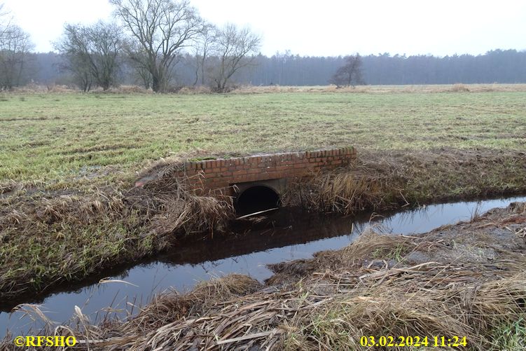 Schönewörder Talgraben, Große-Wörde