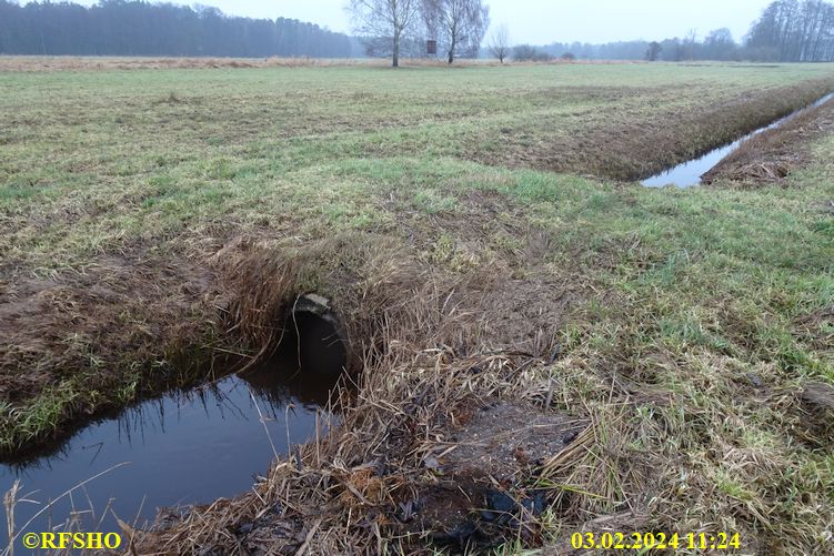 Schönewörder Talgraben, Große-Wörde