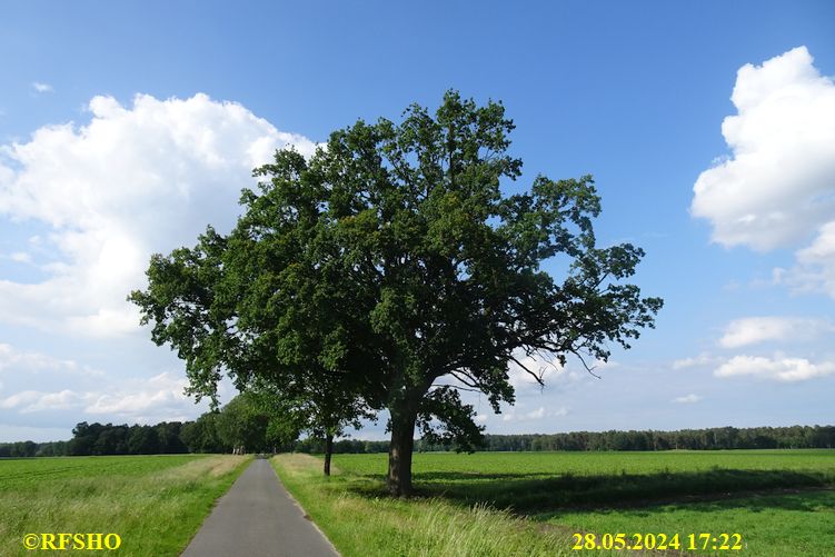 Schützenstraße