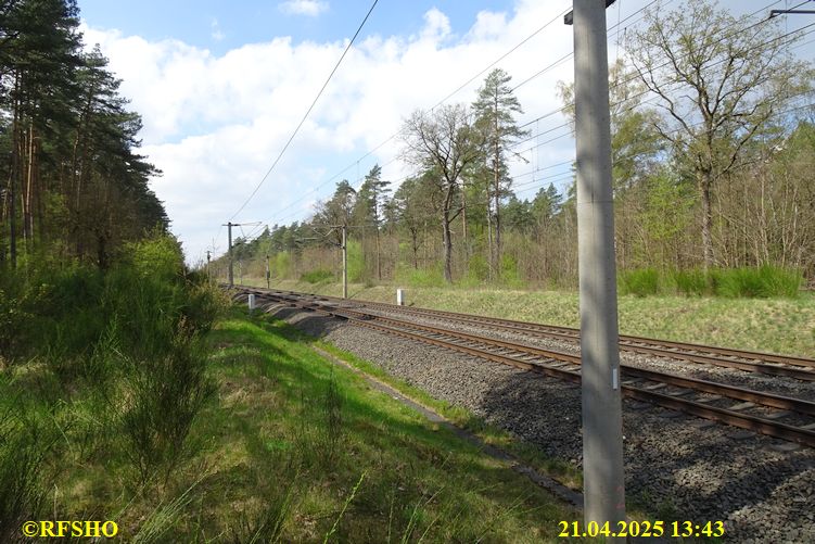 Osterwanderung zum Wohlenberg