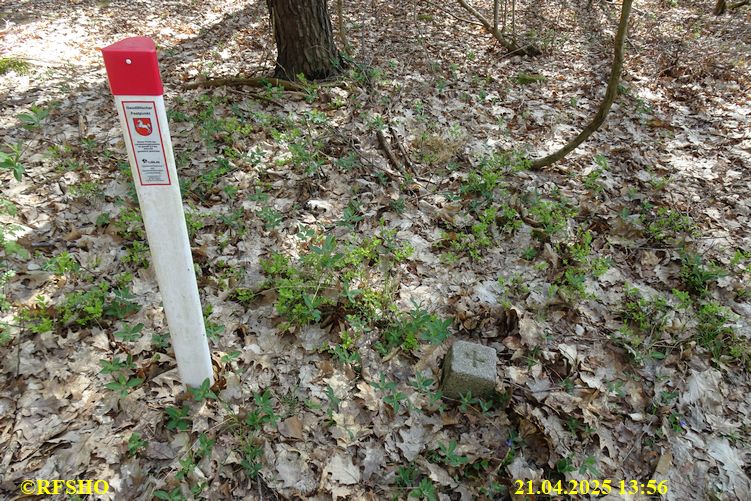 Osterwanderung zum Wohlenberg