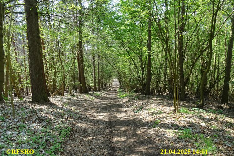Osterwanderung zum Wohlenberg