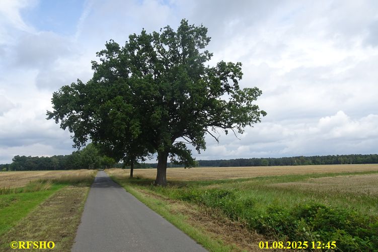 Schützenstraße