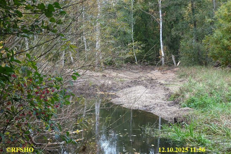 Renaturierung der Ise