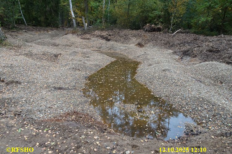 Renaturierung der Ise