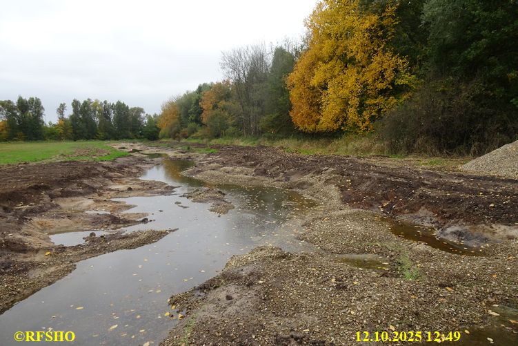 Renaturierung der Ise