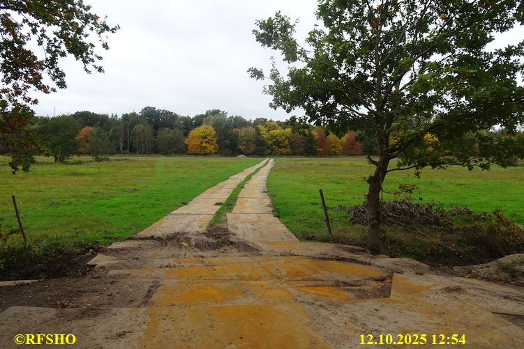 Renaturierung der Ise