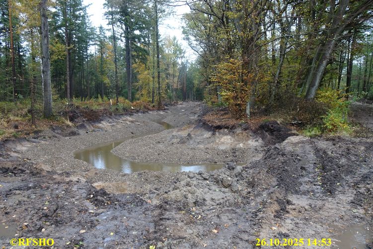 Renaturierung der Ise Hohe Brücke