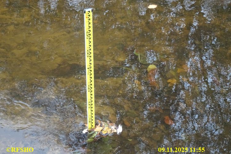 Renaturierung der Ise