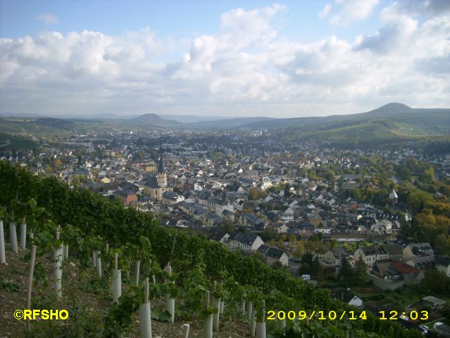 Blick vom Rotweinwanderweg auf Ahrweiler