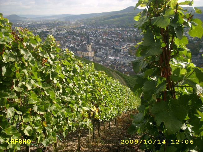 Blick vom Rotweinwanderweg auf Ahrweiler
