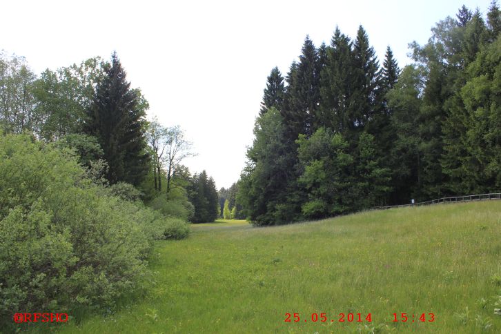 Waldsee Lindenberg