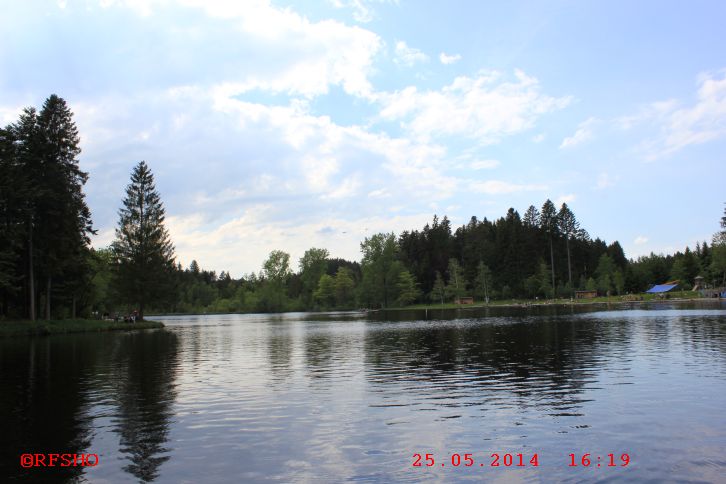 Waldsee Lindenberg