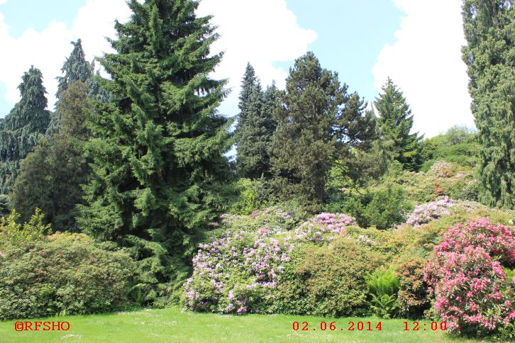 Insel Mainau
