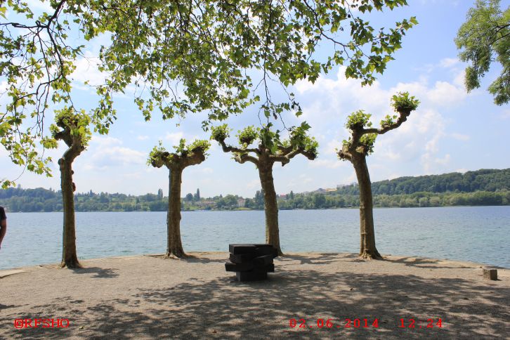 Insel Mainau