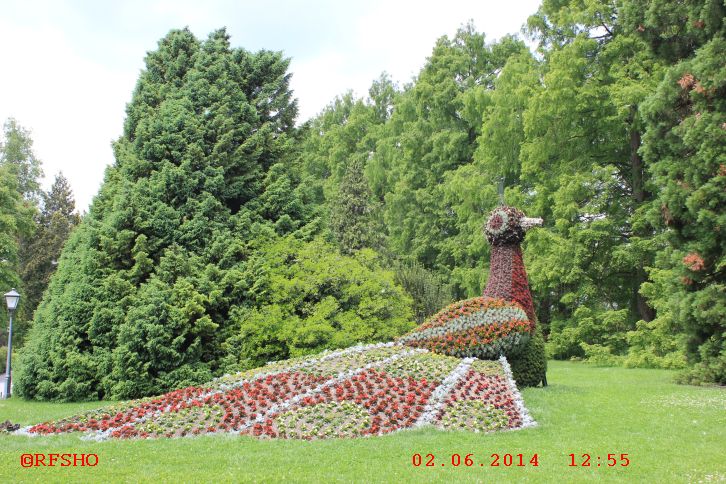 Insel Mainau