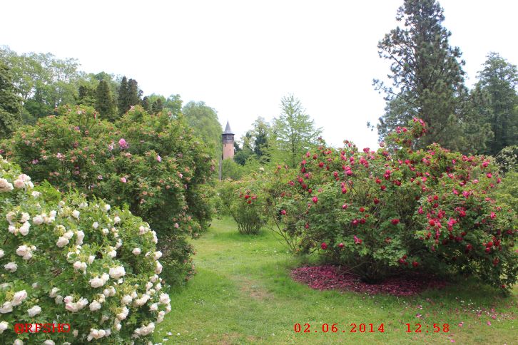 Insel Mainau