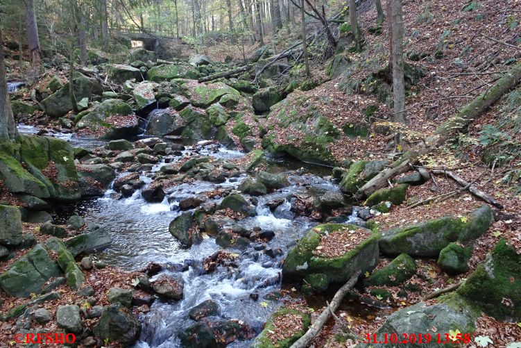 DVV Rundwanderweg Ilsenburg