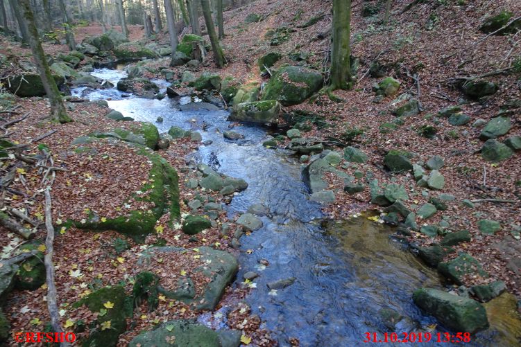 DVV Rundwanderweg Ilsenburg