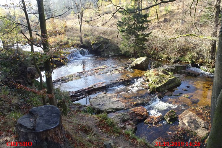 DVV Rundwanderweg Ilsenburg