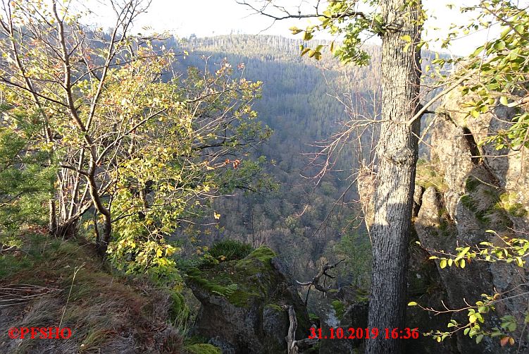 DVV Rundwanderweg Ilsenburg