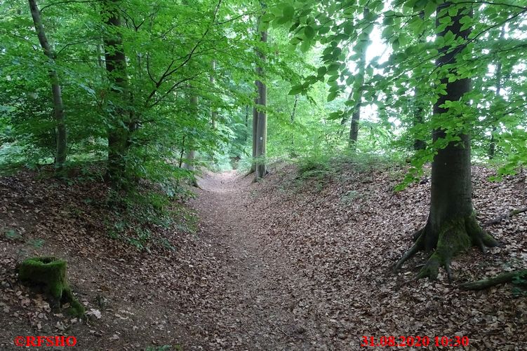 Landreitgraben