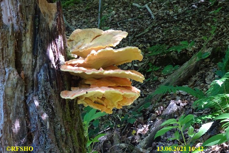 Wanderung Schmuglerpfad