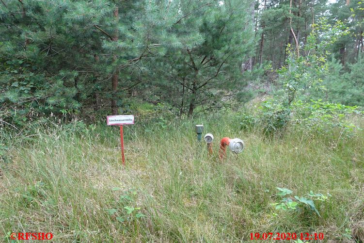 Löschwasser im Wald