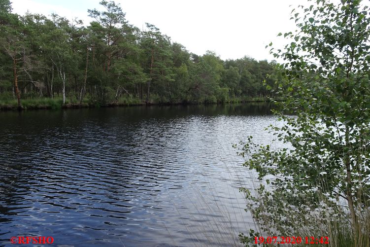 Laaver Moor