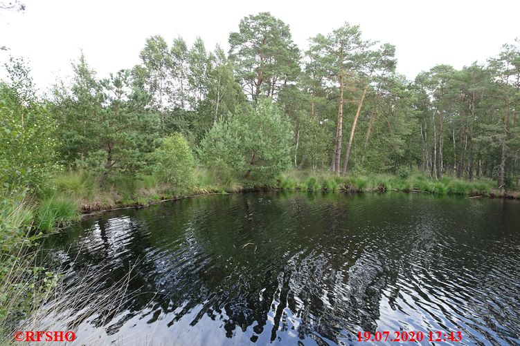 Laaver Moor