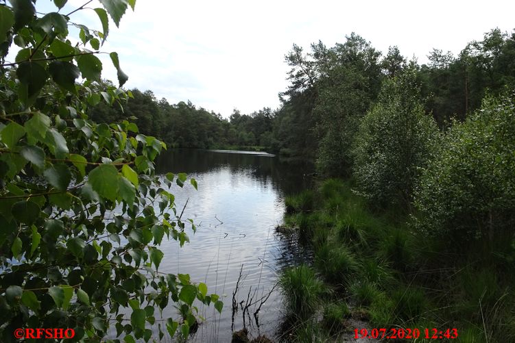 Laaver Moor