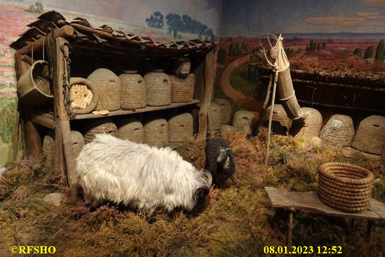 Celle Bomann Museum