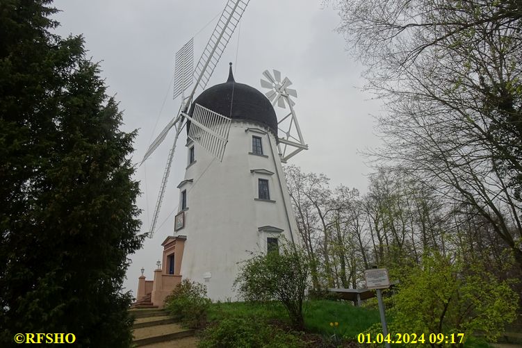 Hochzeitsmühle "Lady Devorgilla"