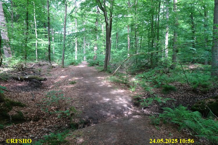 Ostfriesischer Freiheitsmarsch