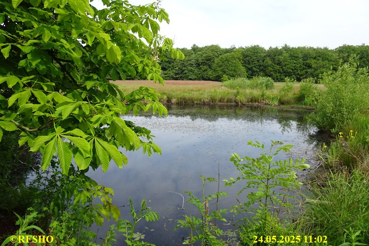 Ostfriesischer Freiheitsmarsch