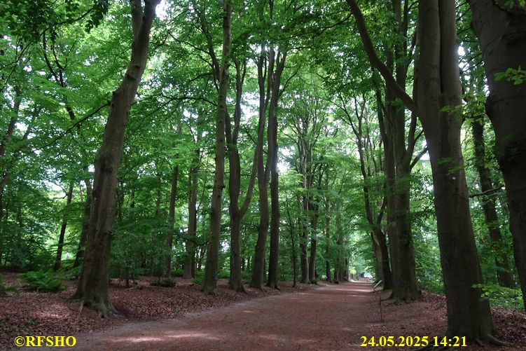 Ostfriesischer Freiheitsmarsch