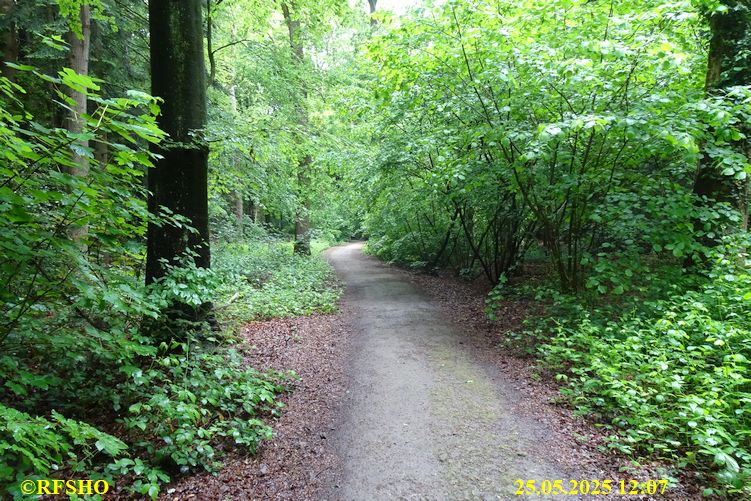 Ostfriesischer Freiheitsmarsch