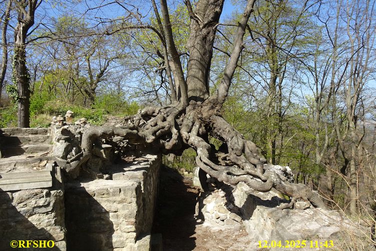 Wanderstrecke