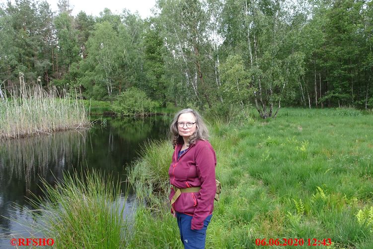 Teich in FA 154