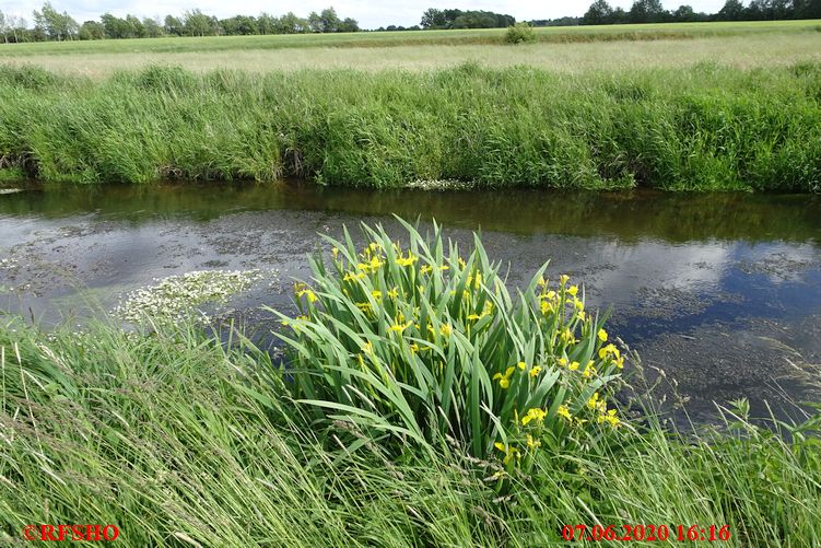 Ise, Lübingshorster Brücke